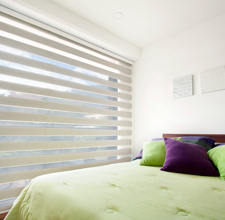 Sorprende a tu familia con la nueva Cortina Roller Duo Perla