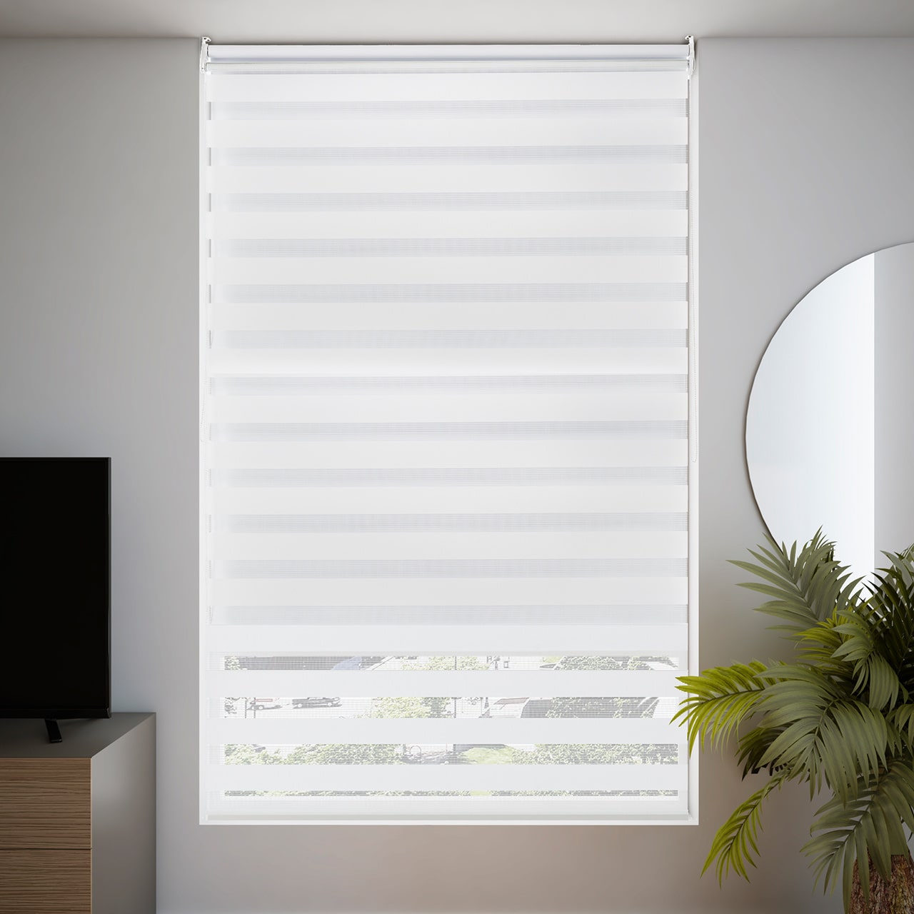 Estudio y Sala de TV