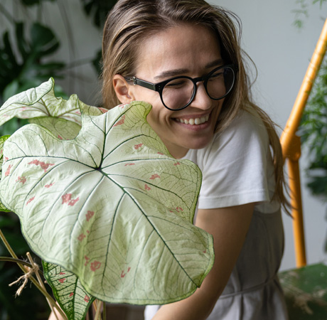 Decoración: Las 5 mejores plantas de interior para decorar tu hogar