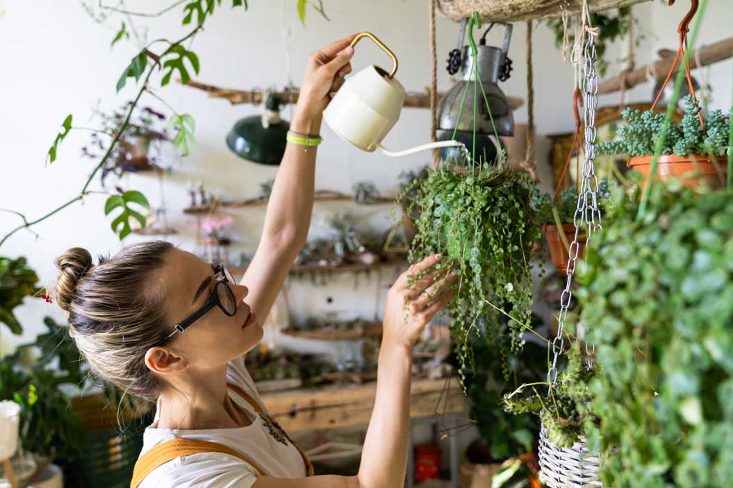 Siempre recuerda agregar a tu decoración plantas naturales