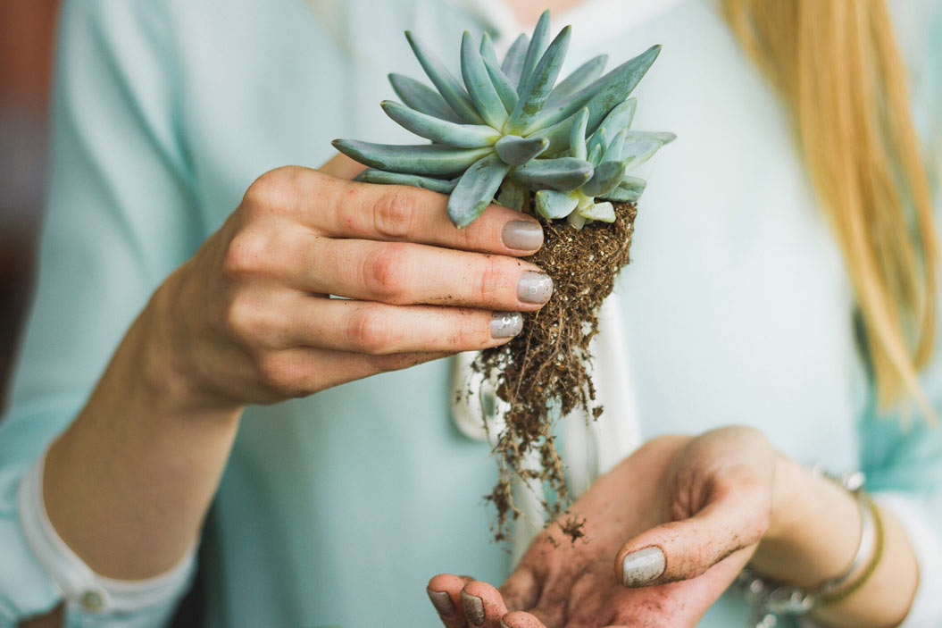 Como dijimos en un principio