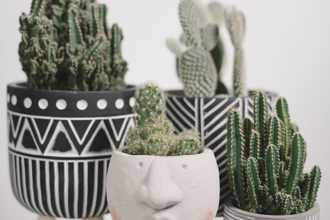 Desde el punto de vista de la decoración