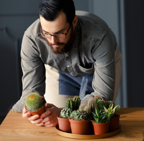Plantas y decoración: Cactus para tu hogar.