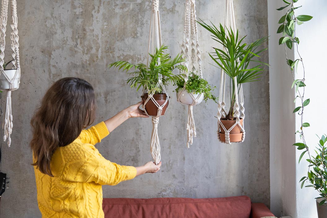 Antes de colgar tus plantas