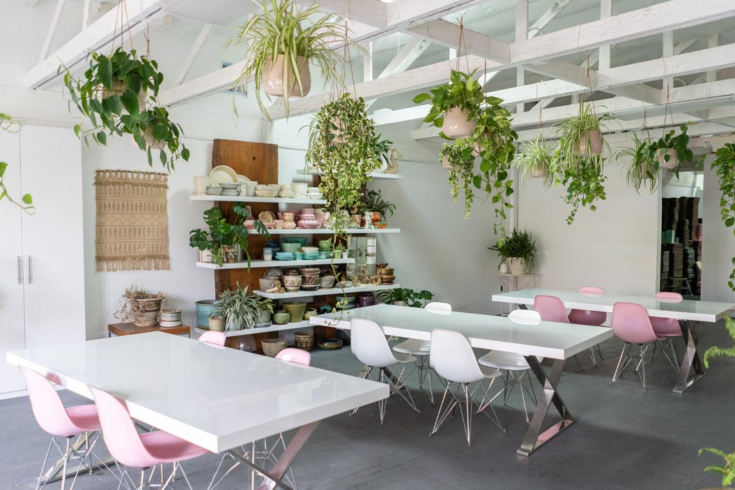 Las plantas que caen con gracia