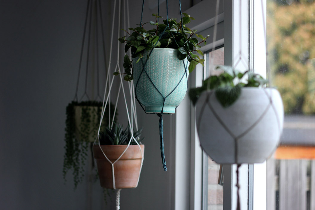 Los próximos pasos a seguir