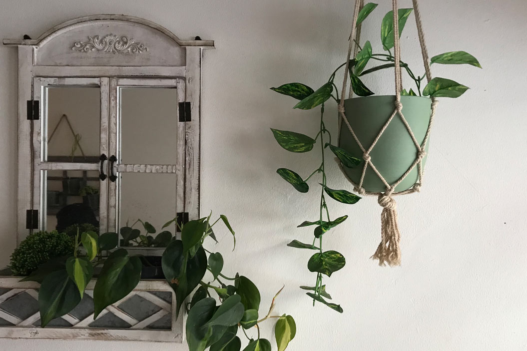 Una buena elección de la maceta