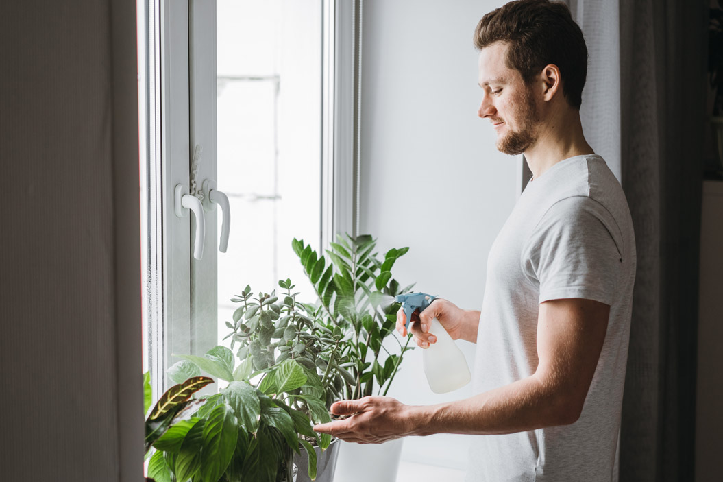 Ayudan a reducir el estrés y la ansiedad