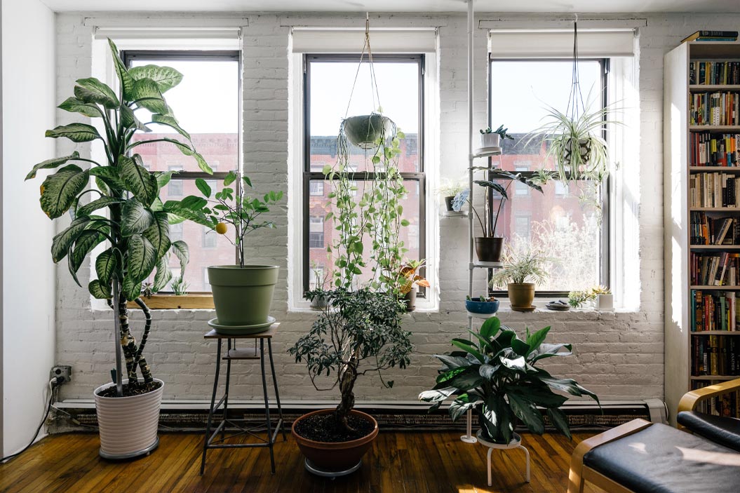 Contribuyen a atenuar el ruido de fondo