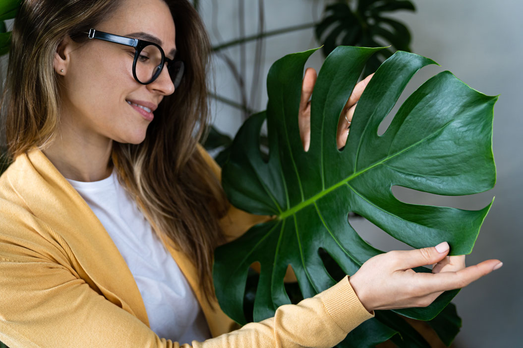 Esperamos que este post