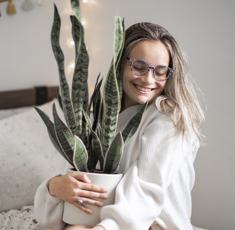 Plantas: Beneficios de las plantas en la decoración.