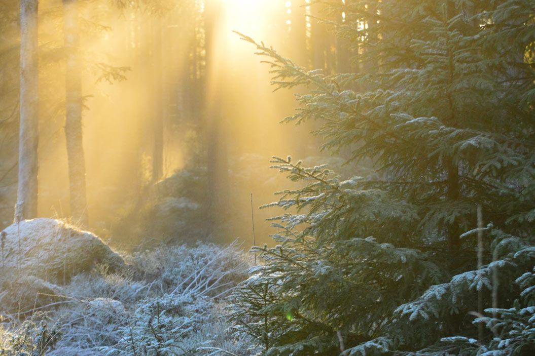 El sol es sinónimo de luz