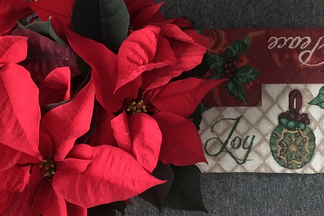 Usada por los padres franciscanos