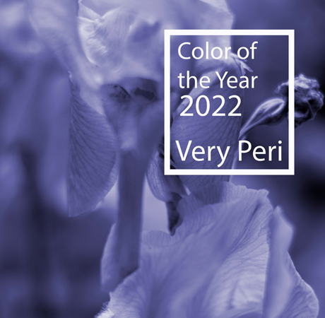 Decoración: Very Peri, el color del año 2022.