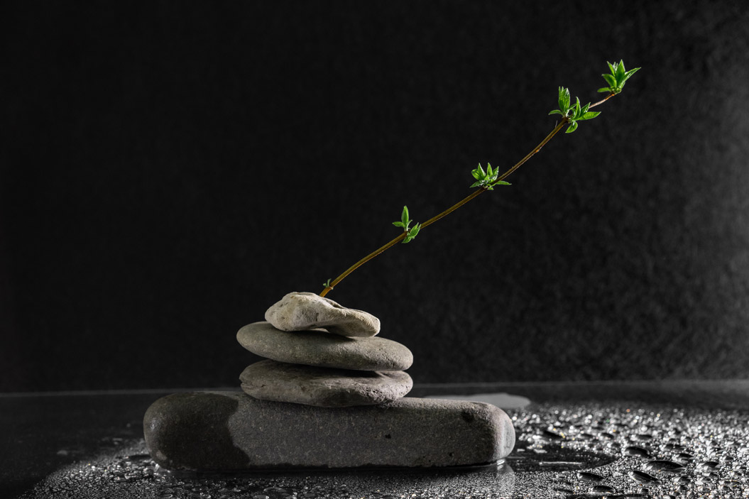 Según la astrología oriental