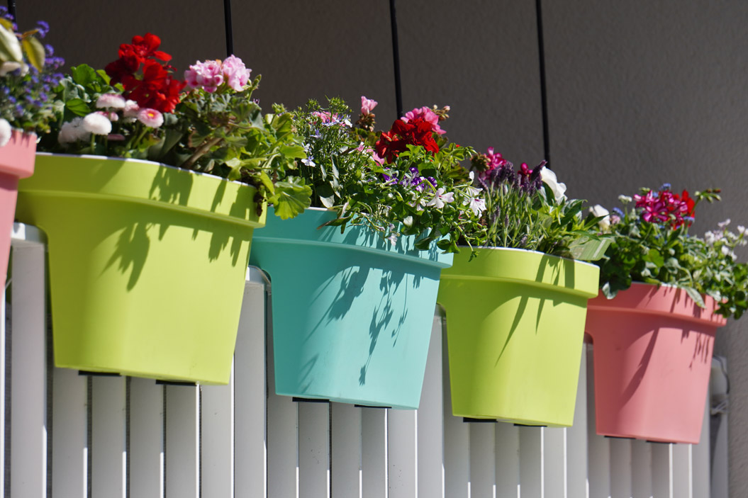seleccionar las plantas que se ajusten a las dimensiones del espacio