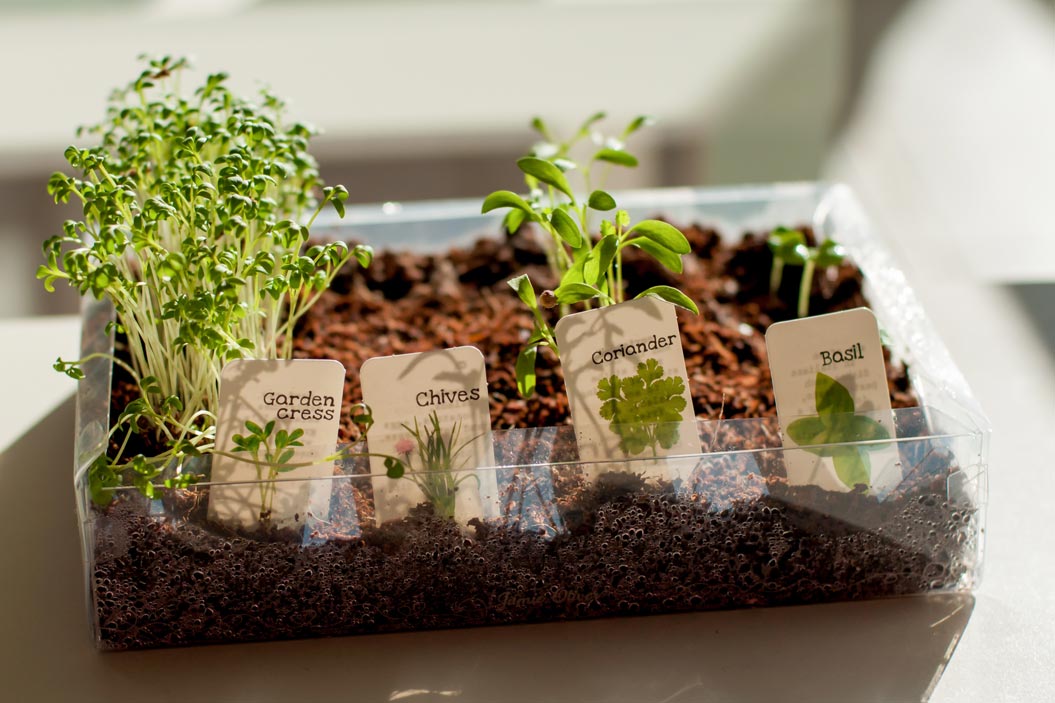 Si dispones de poco espacio