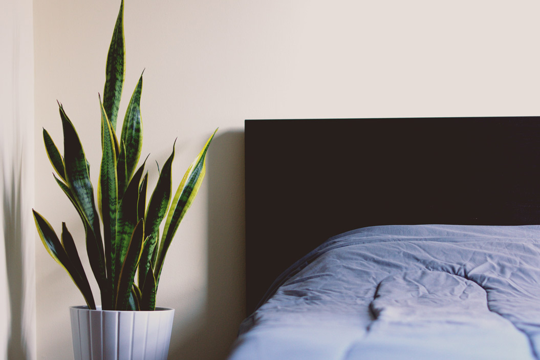 mejorar la calidad del aire que respiras