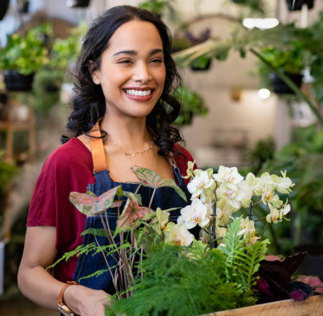 Hogar: 4 plantas de sombra ideales para la decoración.