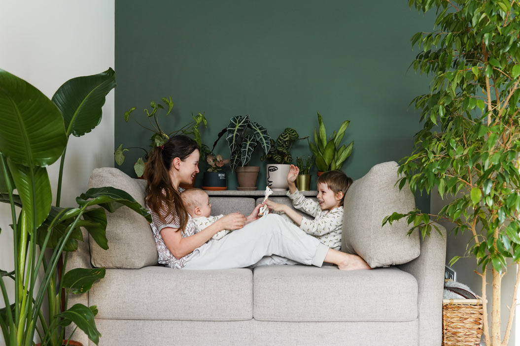decorar la casa con plantas de interior