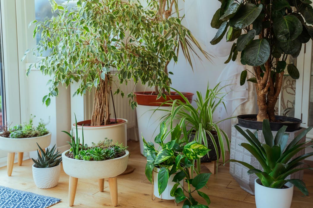 evita colocar grandes cantidades