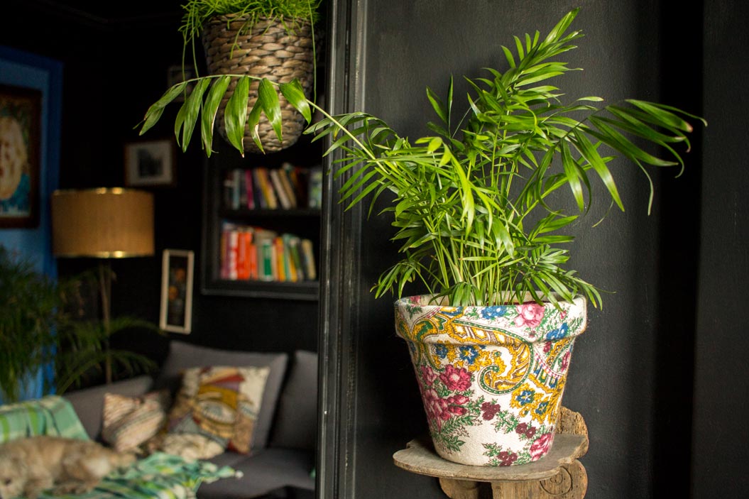 se busca acentuar el verde