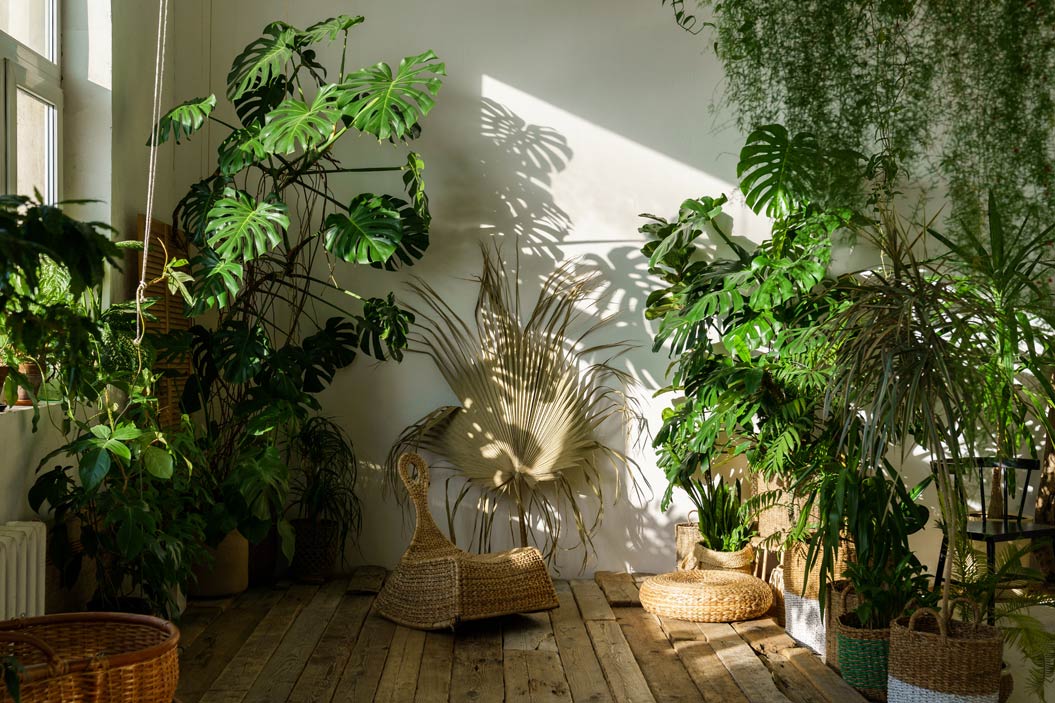 son esculturas que la naturaleza pone a nuestra disposición