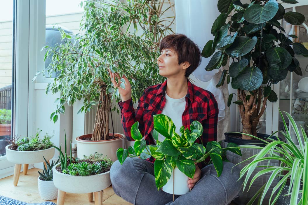 tonalidades de verdes