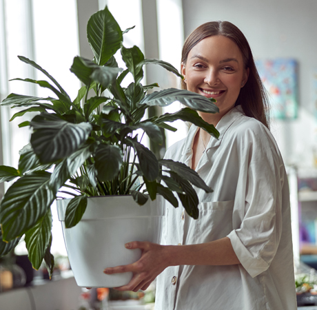 Hogar: Cómo limpiar las hojas de tus plantas.