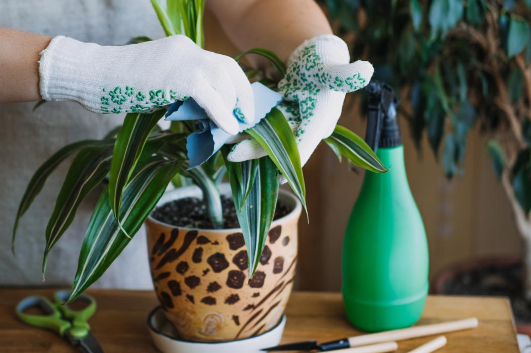 plantas artificiales