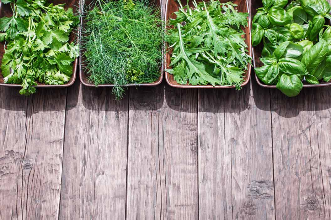 qué tipo de hierbas o vegetales te conviene cultivar