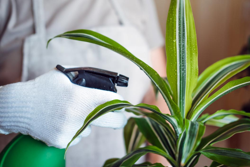 suministros de limpieza a usar