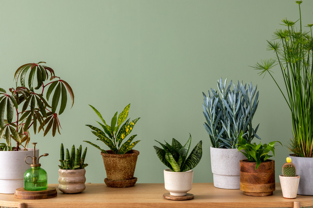 Consejos adicionales