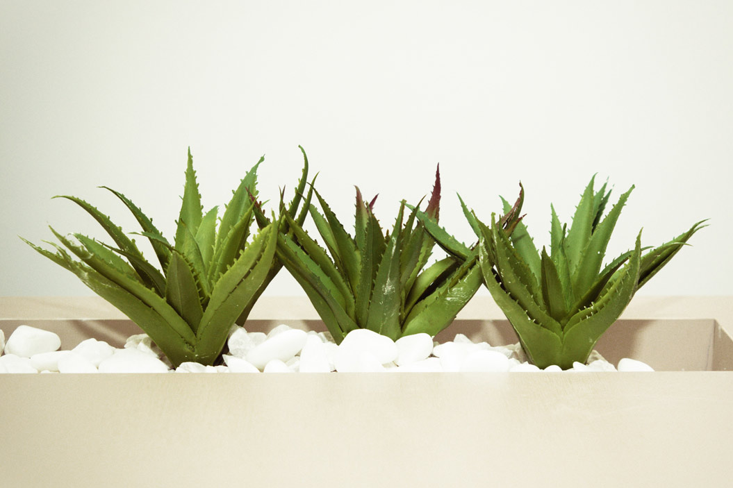 decorar estantes repisas